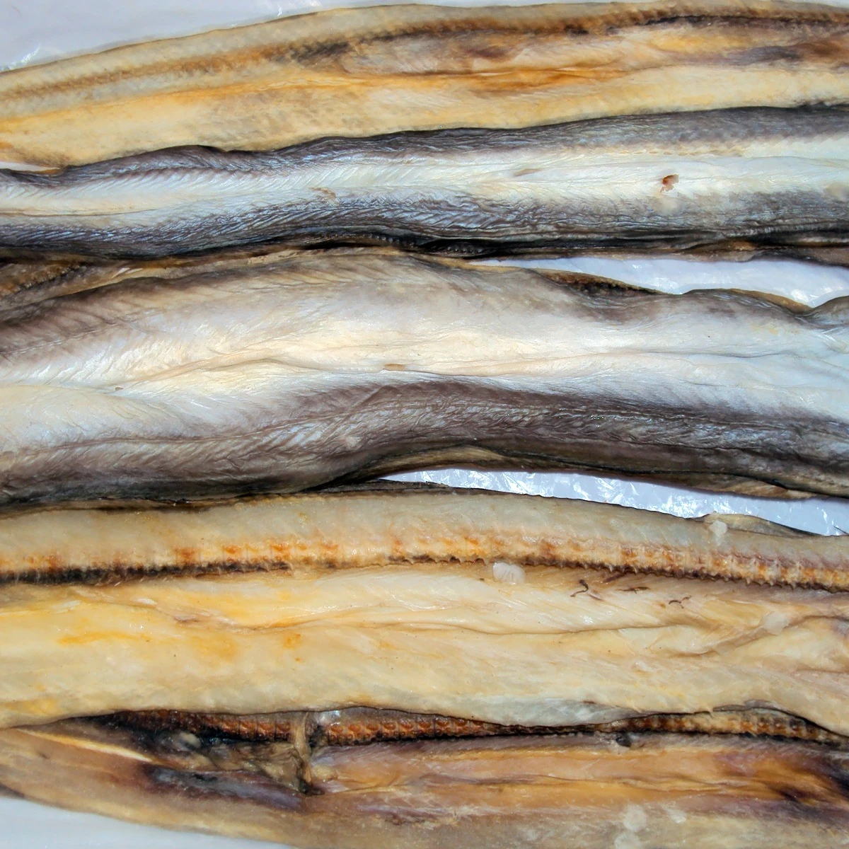 মাঝারি সামুদ্রিক বাইম শুঁটকি