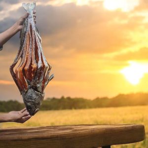 কোরাল শুটকি