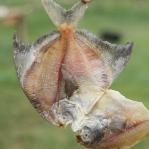 বড় রুপচাদা শুটকি ১ কেজি (৫% লবণযুক্ত)