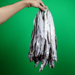 ছোট জাতি ছুরি শুটকি