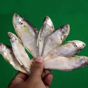 ফাইস্যা শুটকি