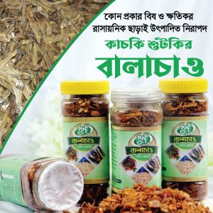 কাচকি শুটকির বালাচাও