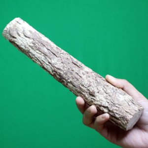 বার্মিজ চন্দন কাঠ