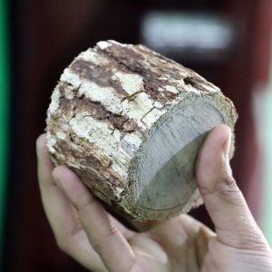 স্পেশাল বার্মিজ চন্দন কাঠ