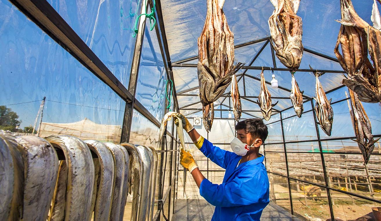 নিরাপদ শুঁটকি গাইড