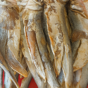 এলগোনা মাছের শুটকি ১০০ গ্রাম